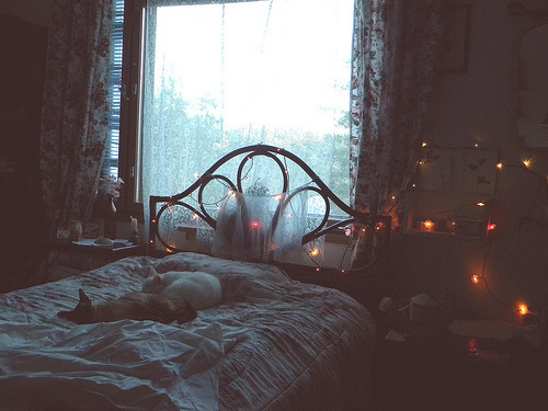 littlebrownbambi:  (via dreamandwake) 