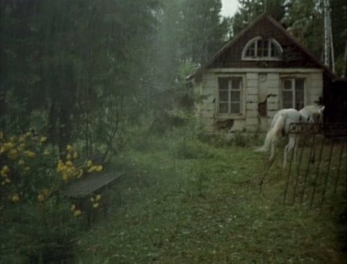 rozemary:lovelybluepony:beardreams:foxandfayvel:emily-likes-owls:      (via dancingcorpse)