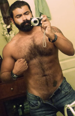 Hairy bear playing with his nipples.