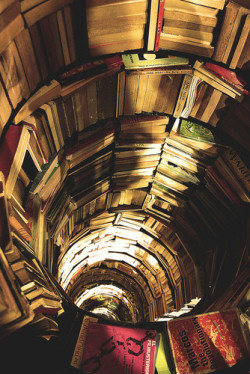 Bubbleant:  Let’s Fall Down The Rabbit Hole.  Especially If It Is Filled With Books!