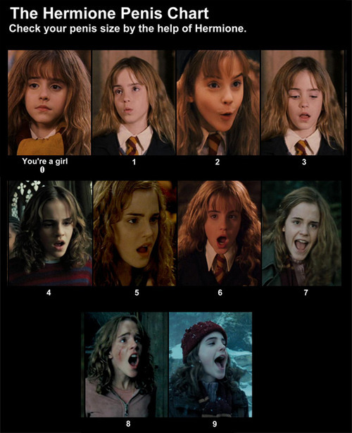 Harry potter and hermione memes