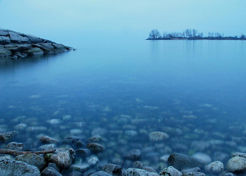 It was the kind of sunrise where the sun didn’t actually make an appearance. (via gardinergirl