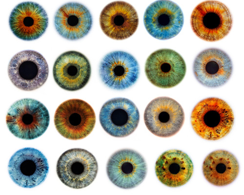 nikoline:  ladycigarettes:  loveyourchaos:  tessellatetonight:  animalcollector:thecosmonaut:lurb:ampyourlife:youreacunt:    the second one from the left on the second row from the top looks like mine 8). a lot actually.   Mine look just like the second