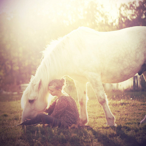 apassingfeeling:  (via Alexandra Sophie) 
