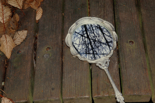 lovelybluepony:  via(joaniemary) 