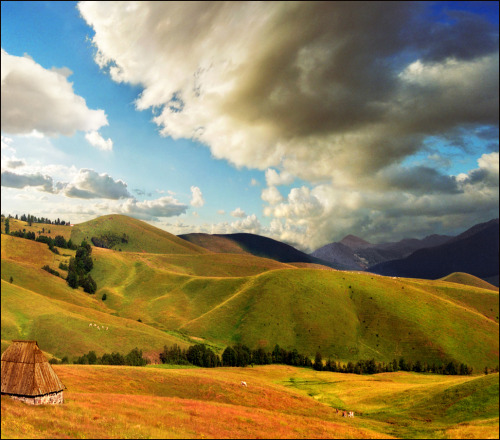 Zlatibor, Dinaric Alps in SerbiaBy Katarina 2353