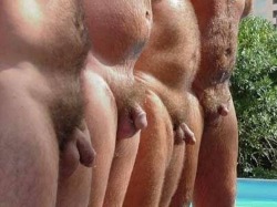 uncuthairychubby:  furrydaddiesworld:  So Cute(via newriver)