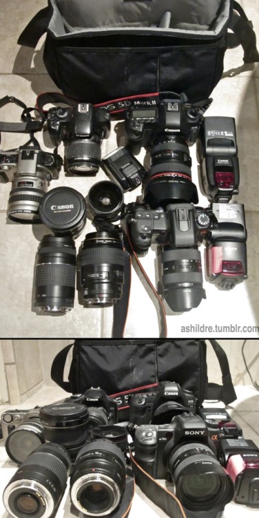 fuckyeahwhatsinyourbag:  This is my camera adult photos