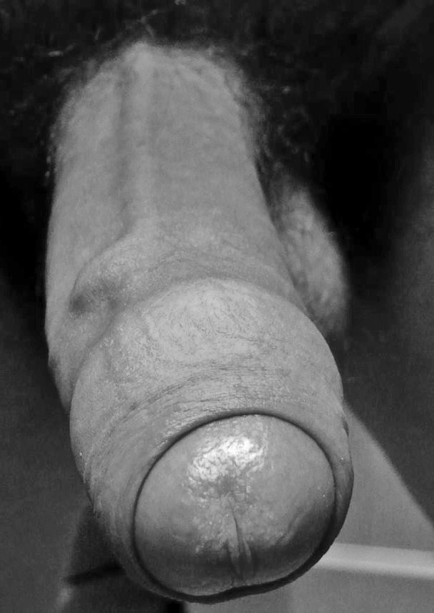 human-art:  some great cock pics from a blog reader/viewer.  thanks cokrod!  Não
