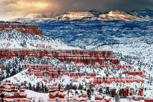 Bryce Canyon National Park, Utah, USA© Jay Patel