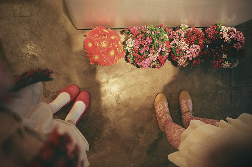 igotosleeptodream:  (via grayskymorning) 