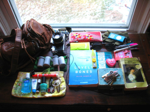 fuckyeahwhatsinyourbag:  Submitted by: Song Birds