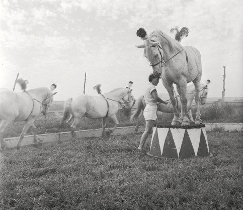(via bunnymitford)