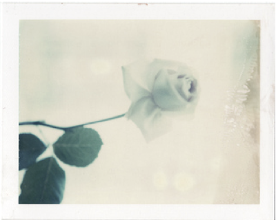 lovelybluepony:  (via bunnymitford) 