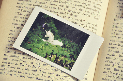 lovelybluepony:  (via suzywire) 