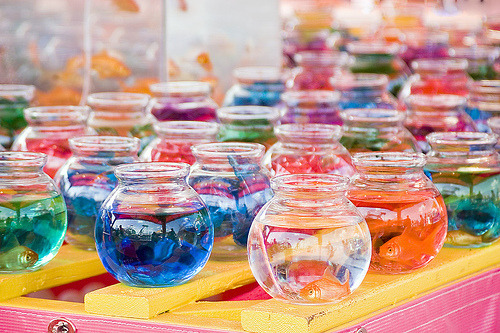 igotosleeptodream:  cottoncandydays:  origami-bird:  (via obliteratedheart)   