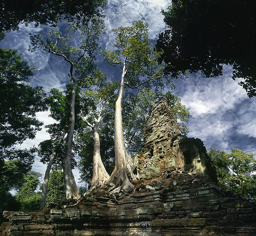 Angkor - Architectural Add-Ons (via zerega)