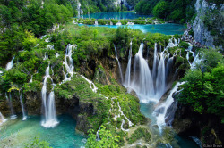 bubbleant:  thingslikethat:  Plitvicka Jezera National Park is one of Earth’s jewels. This mountain valley holds many large emerald lakes, each of which drains into the next in spectacular series of waterfalls.  