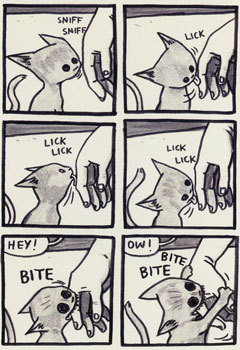 deceptivecadence:  mrflywhiteguy:  this always happens  Que cute. &gt;_&lt;  My cat does this all the time.