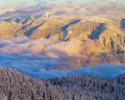 Mt Seymour Provincial Park, British Columbia, Canada  © Adam Gibbs