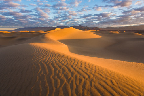 Death Valley National Park, California, USA © Jay Patel