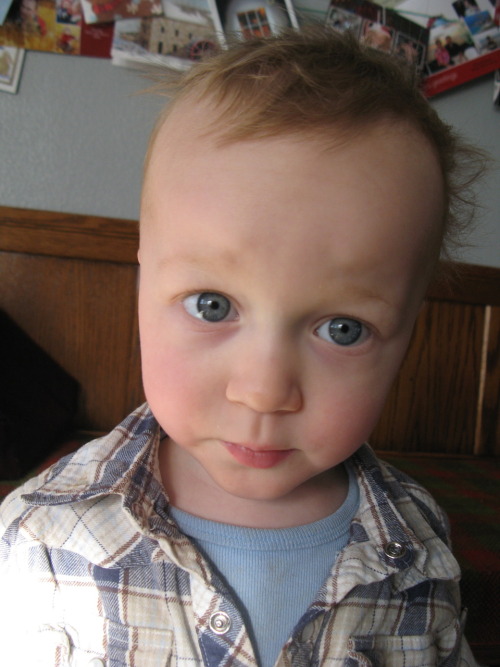 marmalademayhem:
“Gus, 22 months.
”
We’ve been remiss in taking monthly “birthday” pictures of Gus as he’s gotten older, so I’m glad that Arielle took the time to get this one.