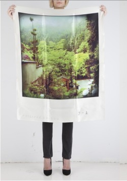 foralskelse:  Objets Trouves Polaroid Scarves