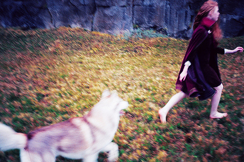apassingfeeling:  (via Saga) 