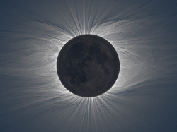 Zombiekookie:  Fuckyeahspace:  Notthatindie:  Composite Image Of The Sun’s Corona,