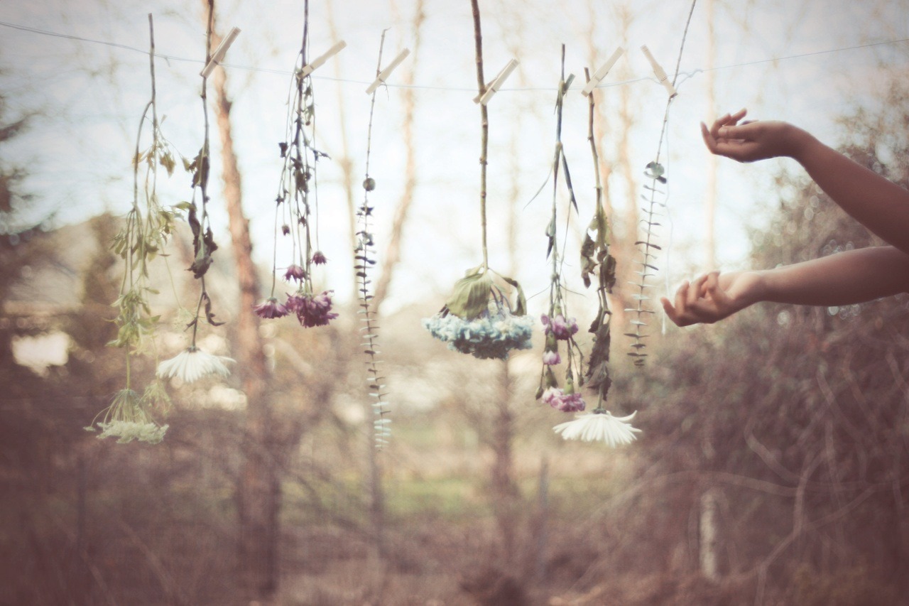 igotosleeptodream:  endofmarch:  windandwhale:  doctorplease:  thldyngry:  day thirty-six.