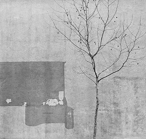 fiore-rosso:  ralf-bohnenkamp:  squaredoor:  tartanspartan:  kvetchlandia:   Arnold Newman     Tree and Wall      1941     