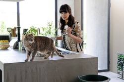 periwinkling:  <3 the girl, the cat, the