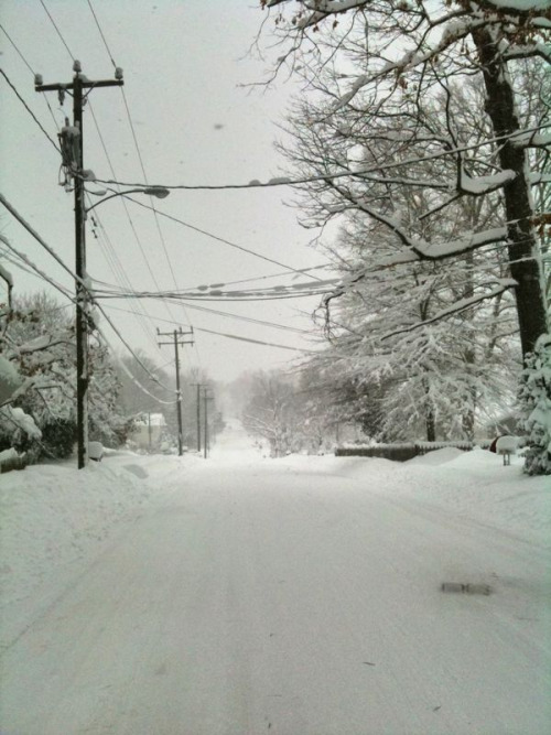 iamcup:  we are hiking the 1.5 mile down to the Vienna Inn for beer and food!  That sounds like fun!