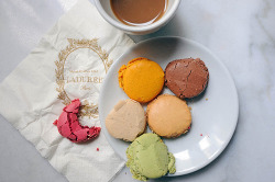vild:  (via kjaerlighet)   Why would one squish macaroons?? I really want to try Laduree macaroons, when (not if) i study in Paris i will buy them on a sunday or something.