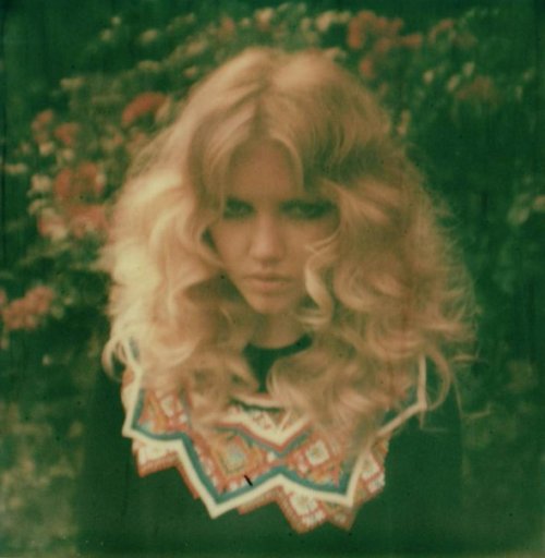 wendy bevan via alice