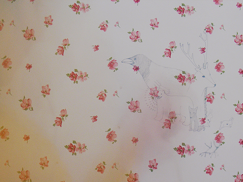 igotosleeptodream:  (via misswallflower) 