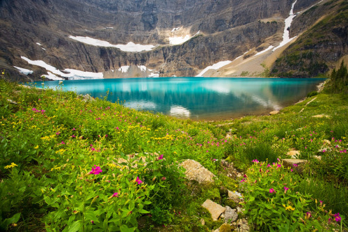 Iceberg Lake, Glacier National Park, Montana, USA © Jay Patel
