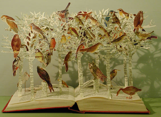 warhol-dreams:  windsweptribbons:  Su BlackwellBirds  
