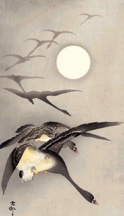 sealmaiden:Ohara Koson 1875-1945Flight of Ducks