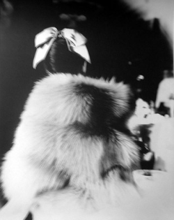 Lillian Bassman