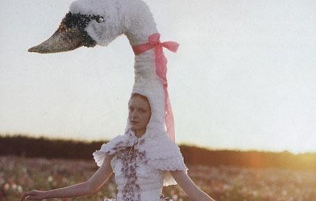 deerdarling:dustedrose:lovelybluepony: (via thegardengirl) (via thegardengirl-deactivated201003)