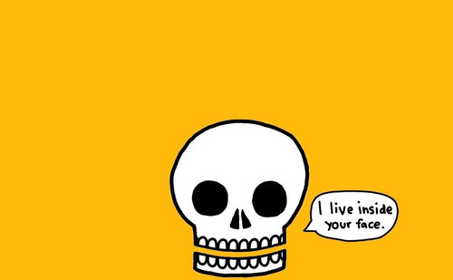 (via tumblrisforlulz)