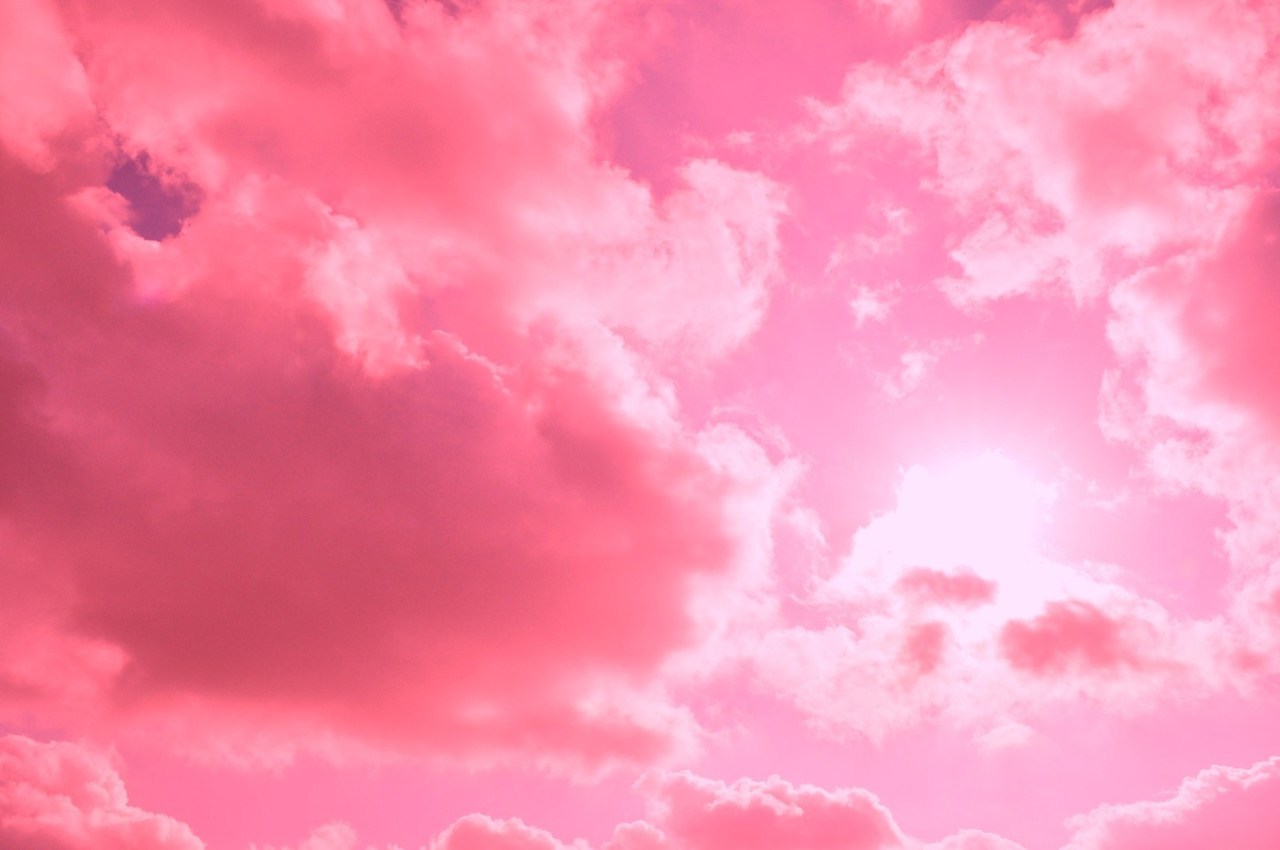 igotosleeptodream:  milktrees:  suicideunderground:satisfythempty:(via bastardette)