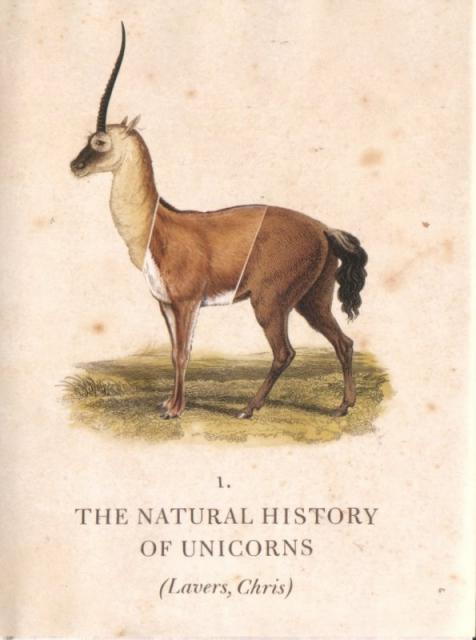 ragsandtatters:  bear-ballet:  Chris Lavers I brought this today   Is this a book?