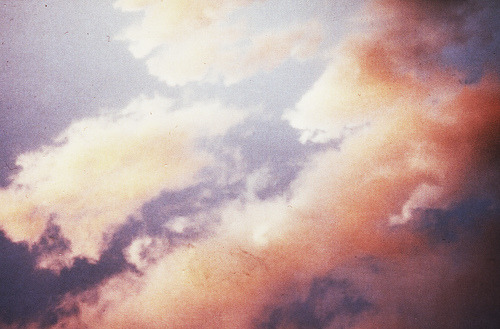 littlebrownbambi:  aloneinthecity:(via deadmarch) 