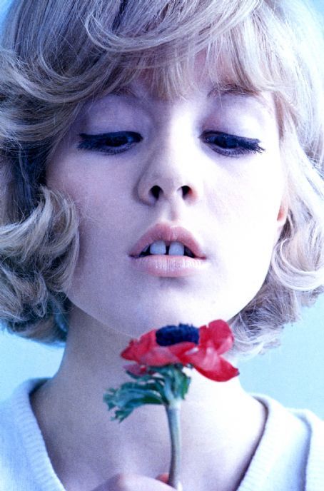 ericajoy-7070:  dubattack:  Sylvie Vartan  