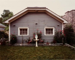 Mineo home, backyard photo by Wayne Sorce,