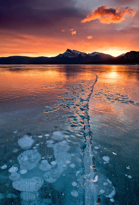 Ice in the Abraham Lake, Kootenay Plains, Alberta, Canada© Darwin Wiggett