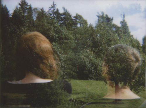 wildislands:  thedarlingchild:  (via foralskelse)  