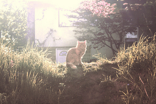 (via vild)